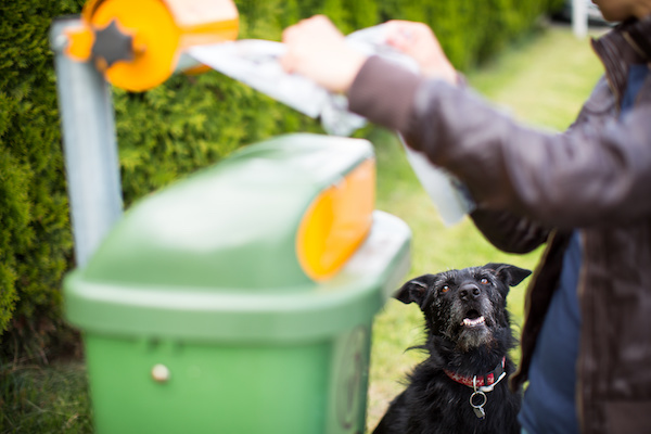 Do not let your dog faul! – Young woman grabbing a plastic bag in a park to tidy up after her dog later