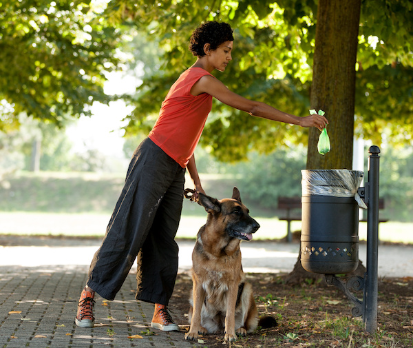 Keep clean the ambient by throwing away the dogs poo